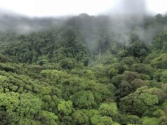 Top Costa Rica Travel Mistakes for First-Time Visitors (& How to Avoid Them)