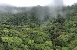 Top Costa Rica Travel Mistakes for First-Time Visitors (& How to Avoid Them)