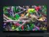 Samsung’s five star OLED TV has been reduced by £600 for Black Friday