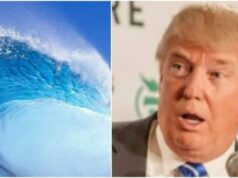 Trump Puts Up Consumer Numbers That Are So Bad That They Could Wipe Republicans Out Of Congress