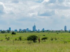 What to Do for a Day Trip in Nairobi: The Ultimate 24-Hour Itinerary