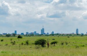 What to Do for a Day Trip in Nairobi: The Ultimate 24-Hour Itinerary