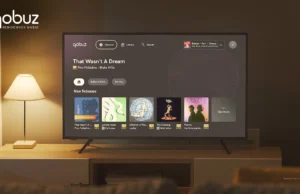 You can now use Qobuz on your Android TV