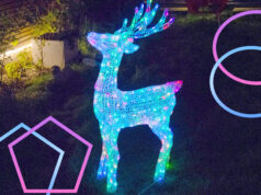 Christmas is better with smart lights