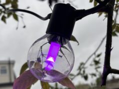 Philips Hue Festavia Globe Outdoor String Lights Review