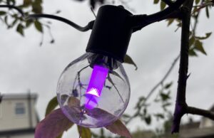 Philips Hue Festavia Globe Outdoor String Lights Review