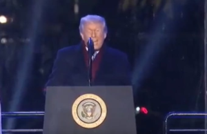 Trump Can’t Even Light A Christmas Tree Without Having A Meltdown