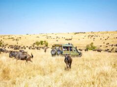 5 Kenyan Safaris You Should Try