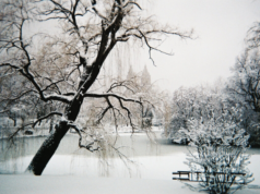 NYC snowfall sparks prediction markets dispute debate