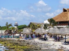 Beyond the Beach Club: How to Find Authentic Mexican Culture on a Short Port Stop