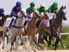 Entain announces it will end Coral Cup sponsorship after 52 years