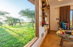 Serval Wildlife: The most exceptional safari park adventure – get closer than you ever imagined