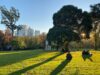 Melbourne With Kids: A Family-Friendly Guide to Exploring the City