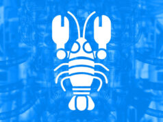 Users flock to open source Moltbot for always-on AI, despite major risks