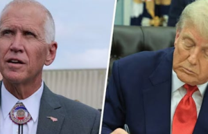 Trump Is Circling The Drain As Senate Republicans Form Blockade Of Fed Nominees