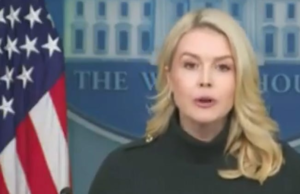 Karoline Leavitt Blames Democrats For The Trump Administration Murder Of Alex Pretti