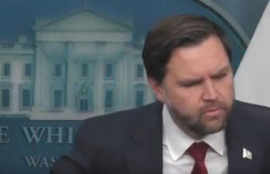 JD Vance Tried To Justify ICE Killing Renee Good And It Was A Disaster