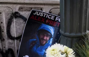 The Alex Pretti Killing Has Republicans Abandoning Trump