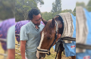 Ex-NDIS director accused of gambling with $858K provider funds