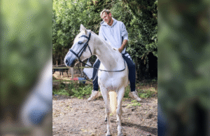 Harwich $12K romance fraud case leaves victim in gambling spiral