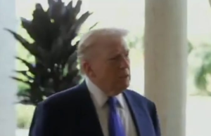 Trump Mentally Collapses After Democrats’ Shocking Win In Texas