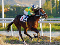 Judge rejects emergency hearing request Hawthorne bankruptcy