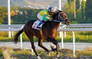 Judge rejects emergency hearing request Hawthorne bankruptcy