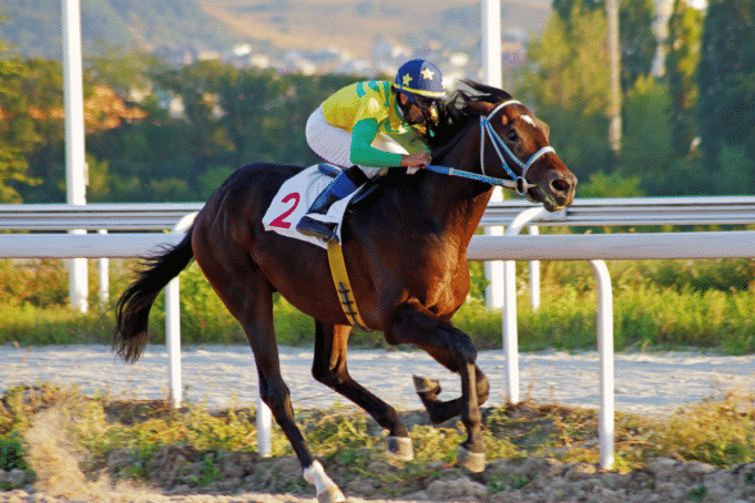 Judge rejects emergency hearing request Hawthorne bankruptcy