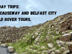 Giant’s Causeway and Belfast City with Wild Rover Tours.