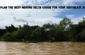 How to Plan the Best Mekong Delta Cruise for Your Southeast Asia Trip