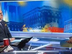 Cory Booker Drops The Hammer After Jake Tapper Tries To Blame Democrats For DHS Shutdown