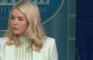 Karoline Leavitt Delivered A Message To Voters That Will Lose The Midterm Election For Republicans