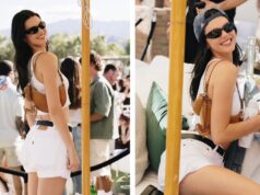 Kendall Jenner's $58 Dog Accessory Was the Highlight of Her Coachella Outfit