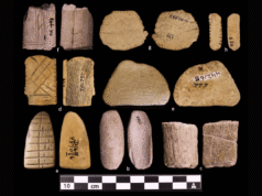 How Native American dice could reshape tribal gambling law