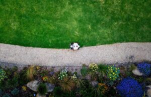 Gardening season must-have smart tools for 2026