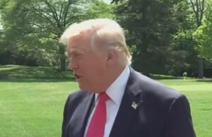 The Oncoming Blue Wave Is Breaking Trump