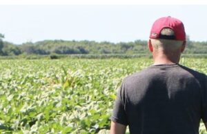 Farmers Voted For Trump And Now They Are Being Destroyed