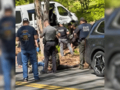 Tolland cockfighting gambling raid leads to 100 arrests