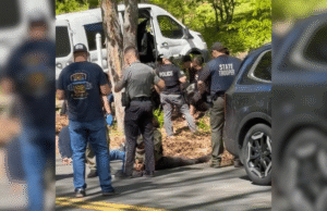 Tolland cockfighting gambling raid leads to 100 arrests