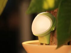 This cute AI sensor helps you care for your plants