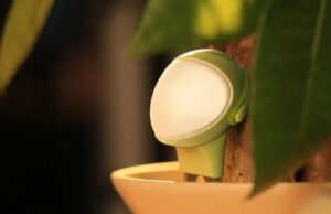 This cute AI sensor helps you care for your plants