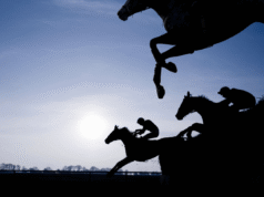 Hawthorne bankruptcy dispute targets Illinois racing funds
