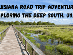 Louisiana Road Trip Adventure: Exploring the Deep South, USA
