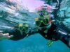 What to Expect When Tunku Abdul Rahman Marine Park Island Hopping