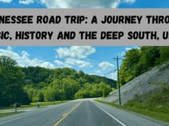 Tennessee Road Trip: Journey through Music, History & Deep South USA
