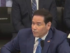 Marco Rubio Busted Lying To Congress About Trump Sleeping During Meetings