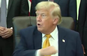 Trump Melts Down When Reporters Challenge His Reflecting Pool Vandalism Story