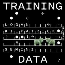 training_data-Ntipl98v_216px.jpg