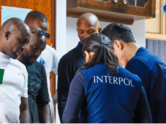 Interpol targets illegal gambling and global fraud