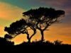 Camping in Cyprus by Campervan: Rules, Campsites, and Life on the Road